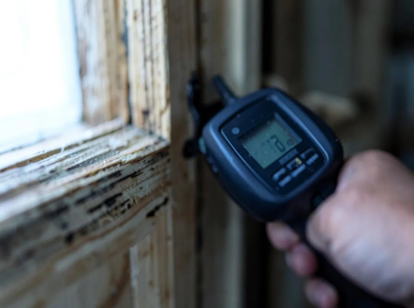 Water Damage Restoration Dendron, VA FAQs